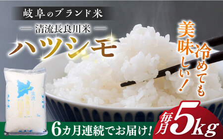 【6回定期便】【R7年産】白米ハツシモ 5kg 白米 5kg 白米定期便[ANCU006]