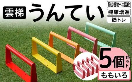 雲梯（うんてい）5個セット ＜ももいろ＞ 雲梯 ウンテイ 健康 健康増進 ダイエット 筋トレ 屋根裏や秘密基地への階段 F21E-261
