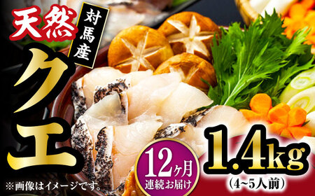 【全12回定期便】【 対馬産 】最高級 クエ 鍋 セット ( 4ー5人前 ) [WAB023] 水炊き くえ クエ鍋 天然クエ