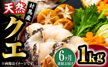 【全6回定期便】【 対馬産 】 天然 クエ 1kg（500g×2）（切り身） 鍋 水炊き 海鮮 クエ 天然クエ [WAB025]