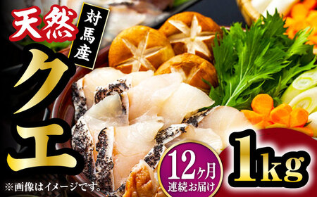【全12回定期便】【 対馬産 】 天然 クエ 1kg（500g×2）（切り身） 鍋 水炊き 海鮮 クエ 天然クエ [WAB026]