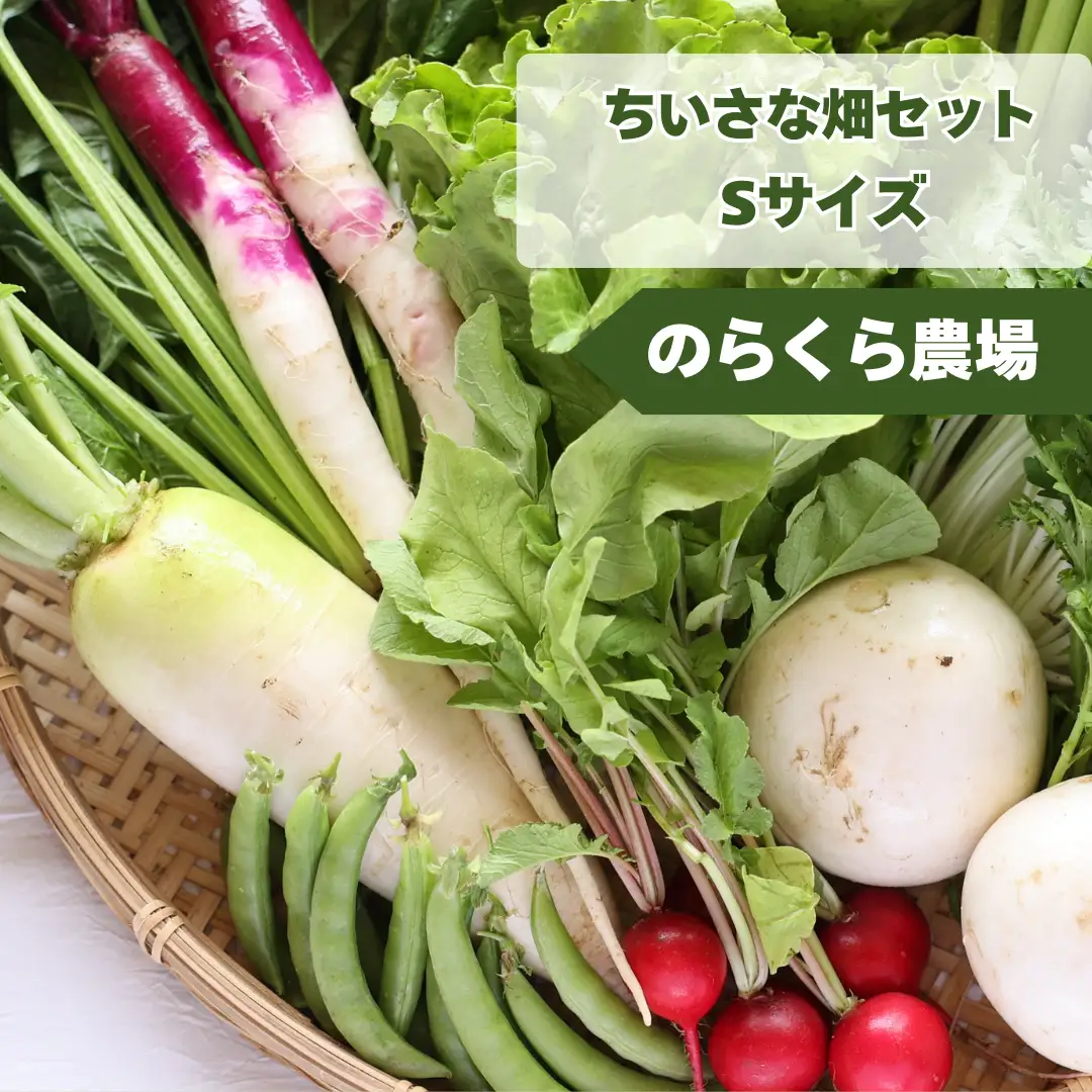 有機野菜ちいさな畑セット（Sサイズ　１～２人前）［NK-120］