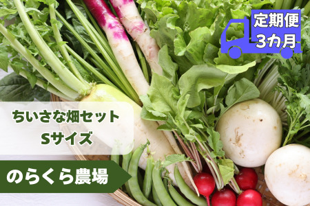 【先行受付・2026年発送】定期便3カ月　有機野菜ちいさな畑セット（Sサイズ　１～２人前）（NK-T519）