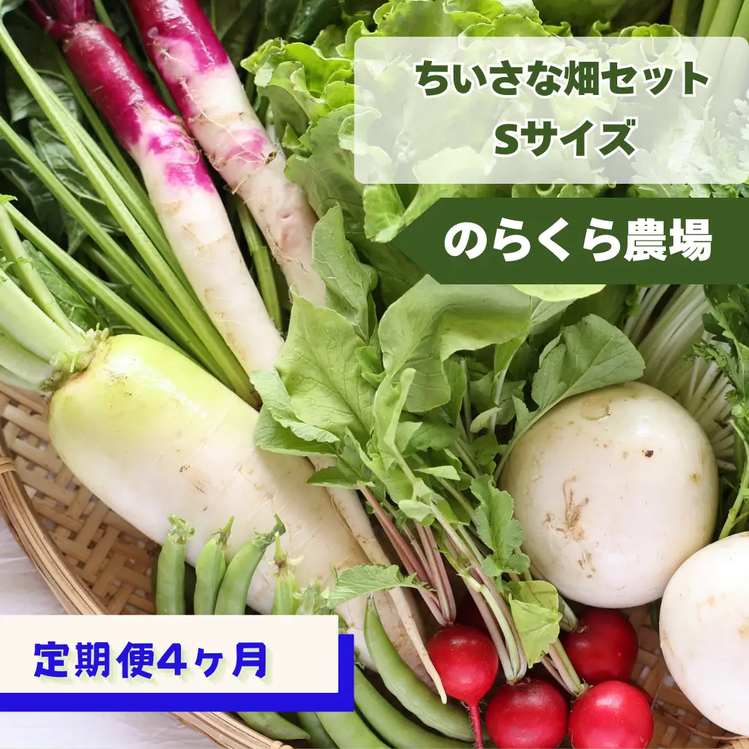 定期便4カ月　有機野菜ちいさな畑セット（Sサイズ　１～２人前）（NK-T520）