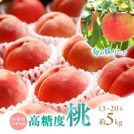 【2026年発送】山梨県山梨市産　旬の採れたて高糖度桃　約5kg(13～20玉)【配送不可地域：離島・沖縄県】【1572402】