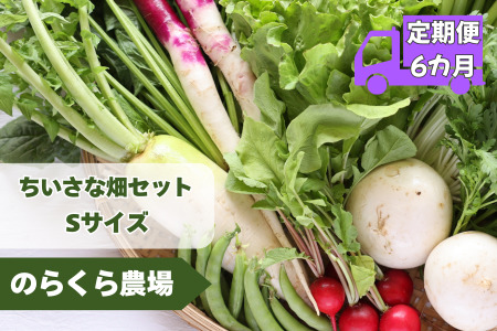 【先行受付・2026年発送】定期便6カ月　有機野菜ちいさな畑セット（Sサイズ　１～２人前）（NK-T521）