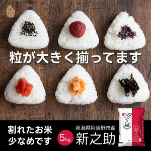 【令和7年産】新潟県 阿賀野市産 新之助 5kg 米杜氏 壱成 白米 精米 大粒 つや 光沢 弾力 芳醇 米 こめ コメ 1H51017