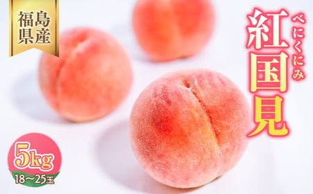 ◆2026年夏発送◆紅国見～産直・桃・約5kg～ ※離島への配送不可 ※2026年7月上旬～7月下旬頃に順次発送予定 ｜ 先行予約 予約 数量限定 桃 もも モモ 果物 くだもの フルーツ 詰め合わせ 福島 ふくしま