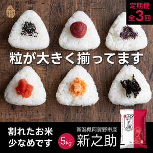 【令和7年産】【3か月定期便】 新潟県 阿賀野市産 新之助 5kg×3回 計 15kg 米杜氏 壱成 白米 精米 大粒 つや 光沢 弾力 芳醇  米 こめ コメ 1H52049