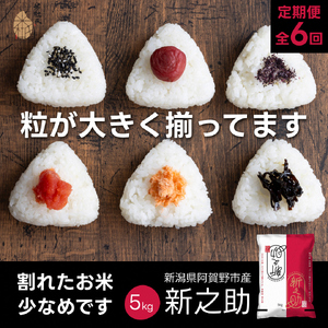 【令和7年産】【6か月定期便】 新潟県 阿賀野市産 新之助 5kg×6回 計 30kg 米杜氏 壱成 白米 精米 大粒 つや 光沢 弾力 芳醇  米 こめ コメ 1H53097