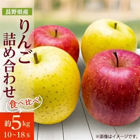りんご サンふじ＆シナノゴールド 詰め合わせ 約5kg(10～18玉程度)【1582012】