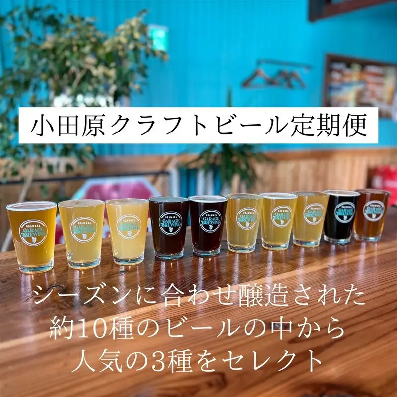 季節限定　小田原クラフトビール3種×各2本　【定期便：3カ月に1回 計4回お届け】   クラフトビール・地ビール【 ビール お酒 神奈川県 小田原市 】