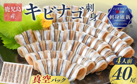鹿児島産 キビナゴ刺身 40尾 4人前 K100-010 魚 冷凍