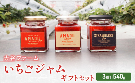 ジャム 大谷ファーム いちごジャム セット 3種 計540g ギフトセット ※配送不可：離島