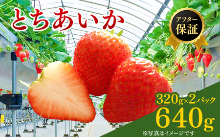 【先行予約】いちご 320g 2パック (1月発送) | いちご ※2027年1月～発送
