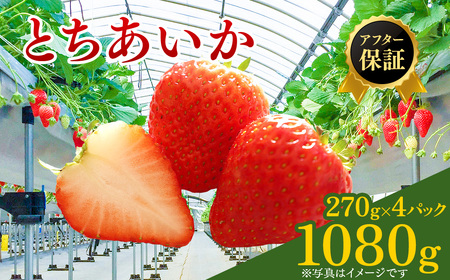 【先行予約】いちご 270g 4パック (1月発送) | いちご ※2027年1月～発送