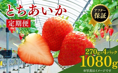 【先行予約】【定期便２回】 いちご 270g×4p | いちご ※2027年1月～発送