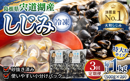 しじみ 【全3回定期便】超希少！特大粒プレミアムサイズ 宍道湖産冷凍大和しじみ 特大粒500g×2袋 島根県松江市/平野缶詰有限会社[ALBZ042] しじみ しじみ