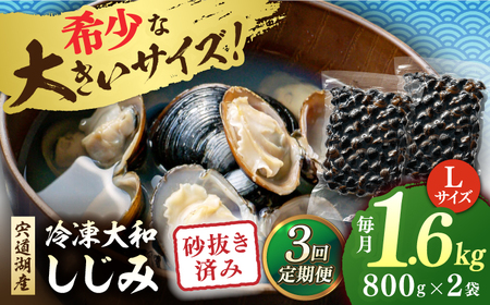 しじみ 【全3回定期便】宍道湖産 冷凍大和しじみ 砂抜き済 Lサイズ800×2袋(1.6kg) 島根県松江市/しじみ市場株式会社[ALDK006] しじみ しじみ