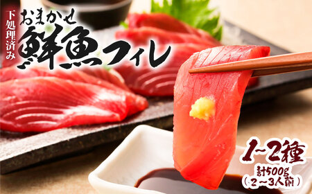 下処理済 おまかせ鮮魚フィレ(かつお、ぶり、かんぱち、ネイリ、鯛、ひらめ、ハガツオなど) 1~2種 約500g(2~3人前) 【R01340】