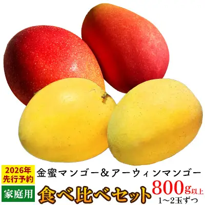 【2026年 先行予約】金蜜マンゴー&アーウィンマンゴー家庭用 食べ比べセット　800g以上 家庭用 先行予約 沖縄 甘味 糖度 濃厚 おいしい お土産 アーウィン きんみつ 食べ比べ まんごー 自分用 デザート 果物 くだもの 果実 ふるさと納税 フルーツ 送料無料
