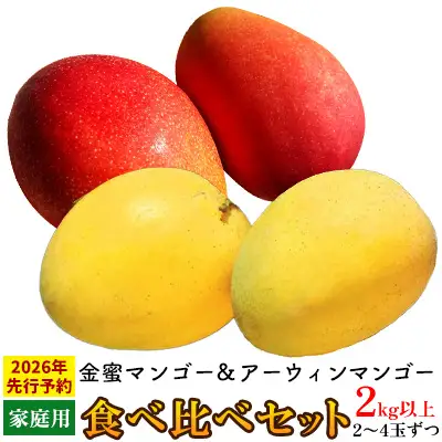 【2026年 先行予約】金蜜マンゴー&アーウィンマンゴー家庭用 食べ比べセット　2kg以上 家庭用 先行予約 沖縄 甘味 糖度 濃厚 おいしい お土産 アーウィン きんみつ 食べ比べ まんごー 自分用 デザート 果物 くだもの 果実 ふるさと納税 フルーツ 送料無料