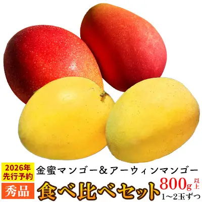 【2026年 先行予約】金蜜マンゴー&アーウィンマンゴー秀品 食べ比べセット　800g以上 秀品 先行予約 沖縄 甘味 糖度 濃厚 おいしい お土産 アーウィン きんみつ 食べ比べ まんごー ギフト プレゼント 果物 くだもの 果実 ふるさと納税 フルーツ 送料無料