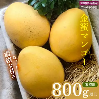 【2026年 先行予約 数量限定】金蜜マンゴー 家庭用 800g以上 家庭用 先行予約 沖縄 甘味 糖度 濃厚 おいしい お土産 まんごー きんみつ ギフト プレゼント 果実 くだもの 果物 ふるさと納税 送料無料 トロピカル 名護市 フルーツ