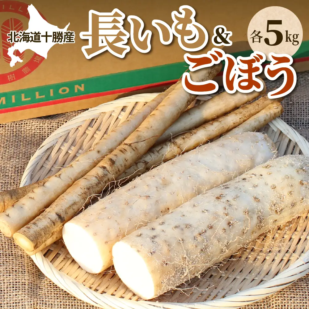 北海道十勝芽室町 ファーム・ミリオンの長芋ごぼうセット【土付き】10kg　長芋 長いも  とろろ 芋 ごぼう ゴボウ 根菜 野菜 北海道 十勝 芽室町 送料無料 お取り寄せ me016-014c
