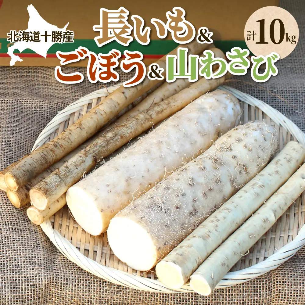 北海道十勝芽室町 ファーム・ミリオンの贅沢根菜セット（長芋・ごぼう・山わさび）【土付き】　長芋 長いも  とろろ 芋 ごぼう ゴボウ 山わさび わさび 根菜 野菜 北海道 十勝 芽室町 送料無料 お取り寄せ me016-015c