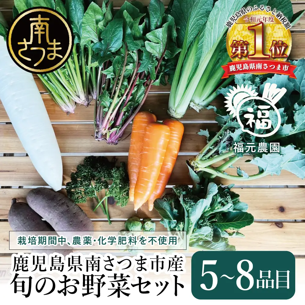 【鹿児島県南さつま市産】福元農園 旬のお野菜 おまかせセット 1箱（5～8品目）