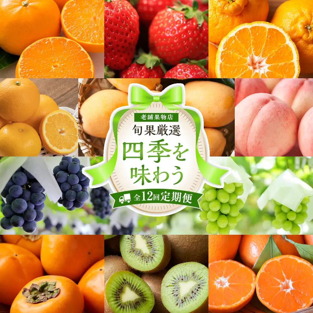 【定期便全12回】旬果厳選！四季を味わう単品定期便♪ | フルーツ