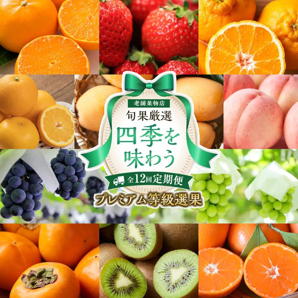 【定期便全12回】旬果厳選！四季を味わう単品定期便♪～プレミアム等級選果～ | フルーツ