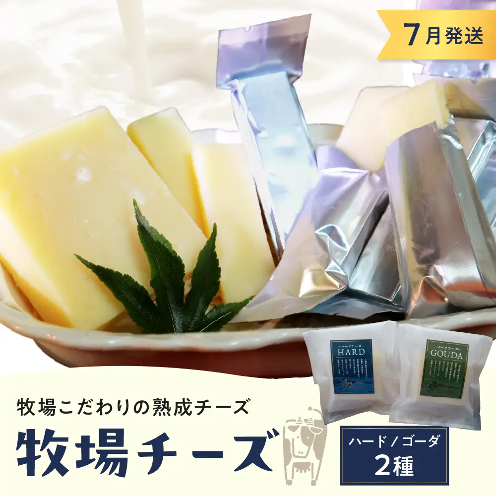 7月発送 北海道十勝芽室町 牧場チーズ２種類セット チーズ cheese ハードチーズ ゴーダチーズ 熟成チーズ 手作り お取り寄せ おつまみ アレンジ me020-005c-7