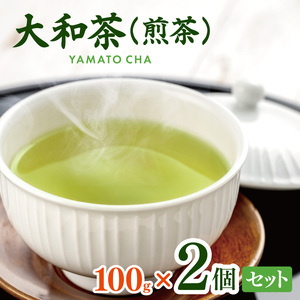 大和茶 (煎茶) 100g × 2個セット