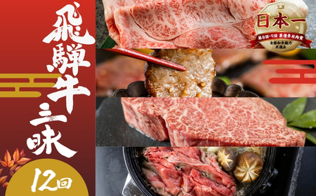 【定期便】飛騨牛 三昧 定期便 12回 飛騨牛 トキノ屋食品 [mt1735]