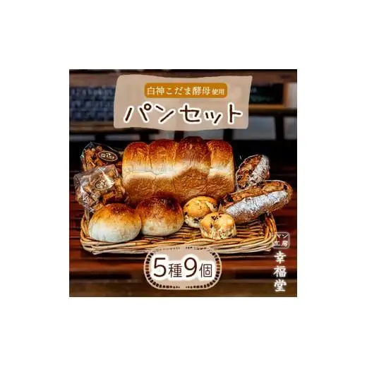 天然酵母のパンセット 5種9個 国産小麦粉 米粉 天然酵母 食パン 菓子パン