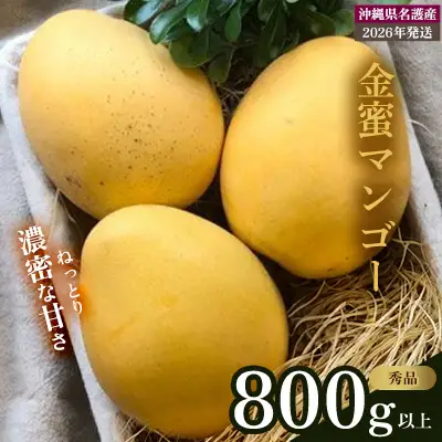 【2026年 先行予約 数量限定】マンゴー好きに食べてもらいたい！金蜜マンゴー 秀品800g以上 秀品 先行予約 沖縄 甘味 糖度 濃厚 おいしい お土産 まんごー きんみつ ギフト プレゼント 果実 くだもの 果物 ふるさと納税 送料無料 トロピカル 名護市 フルーツ