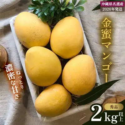 【2026年 先行予約 数量限定】マンゴー好きに食べてもらいたい！金蜜マンゴー 秀品 2kg以上 秀品 先行予約 沖縄 甘味 糖度 濃厚 おいしい お土産 まんごー きんみつ ギフト プレゼント 果実 くだもの 果物 ふるさと納税 送料無料 トロピカル 名護市 フルーツ