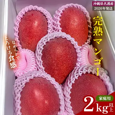 【2026年 先行予約】完熟マンゴー 家庭用 2kg以上 家庭用 先行予約 沖縄 甘味 糖度 濃厚 おいしい お土産 まんごー アーウィン ギフト プレゼント 果実 くだもの 果物 ふるさと納税 送料無料 トロピカル 名護市 フルーツ