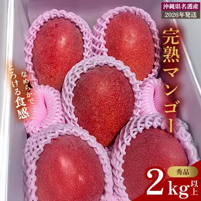 【2026年 先行予約】とろける完熟マンゴー 秀品 2kg以上 秀品 先行予約 沖縄 甘味 糖度 濃厚 おいしい お土産 まんごー アーウィン ギフト プレゼント 果実 くだもの 果物 ふるさと納税 送料無料 ふるさと納税 名護市 フルーツ