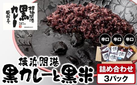 風我亭の横浜開港黒カレーと黒米の詰め合わせ　3パック【辛口3個】 AMK0002VC01