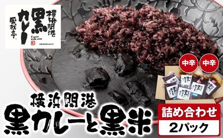 風我亭の横浜開港黒カレーと黒米の詰め合わせ　2パック【中辛2個】 AMK0001VC02