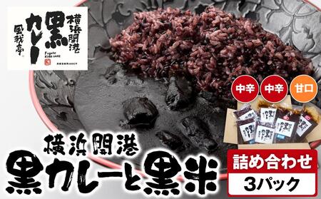 風我亭の横浜開港黒カレーと黒米の詰め合わせ　3パック【中辛2個、甘口1個】 AMK0002VC07