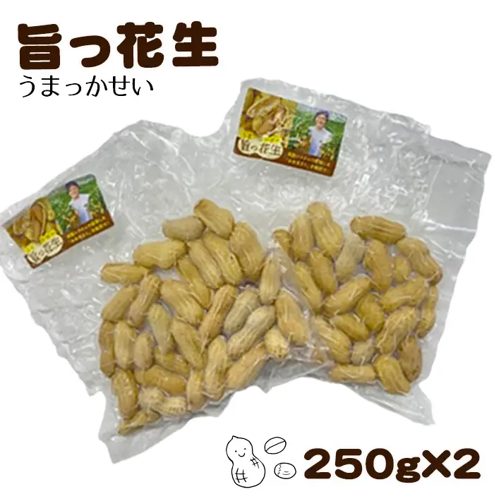 旨っ花生　500g ／ 落花生 ピーナッツ 豆 茹で豆 おおまさり 大粒 歯ごたえ 甘み 海水塩 おいしい 急速冷凍 簡単 手軽 おつまみ おやつ こだわり 埼玉県 No.178