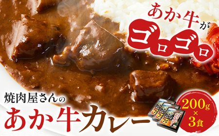 焼肉屋さんのあか牛カレー 600g (200g×3食) 白水乃蔵《30日以内に出荷予定(土日祝除く)》 あかうし 赤牛 あか牛 牛 カレー 南阿蘇村 肉