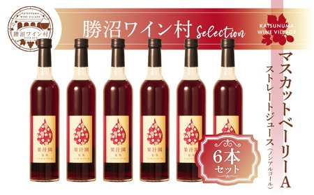 マスカットべーリーA ストレートジュース6本セット（KWV）E2-621
