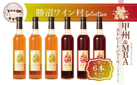 甲州＆マスカットベーリーA ストレートジュース6本セット（KWV）E2-622
