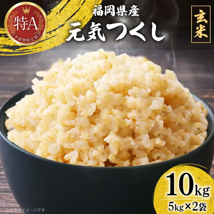 玄米 令和7年産 元気つくし 5kg 2袋 [um40azp190012]