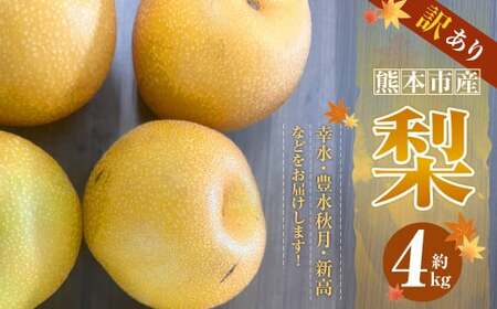 【訳あり】【数量限定】【先行予約】熊本市産 梨 （幸水・豊水・秋月・新高など） 約 4kg 果物 くだもの フルーツ 家庭用 訳あり なし ナシ 常温 熊本 熊本市【2026年8月下旬～10月下旬発送予定】